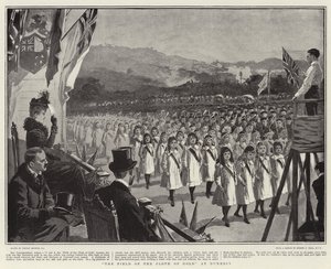 The Field of the Cloth of Gold at Dunedin by Gordon Frederick Browne